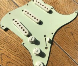 Fender 59 AVRI reissue mint green plastic set